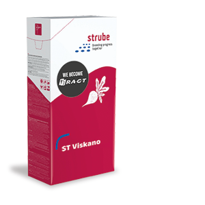 Bild av Sockerbeta - ST Viskano
